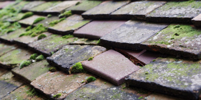 Booker roof repair costs